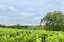 ®Domaine des Eclats