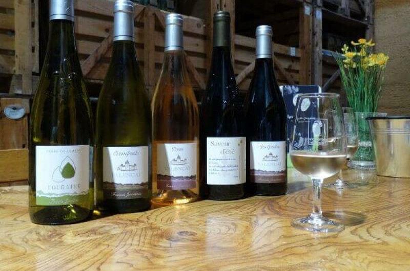 Vignobles Jourdain