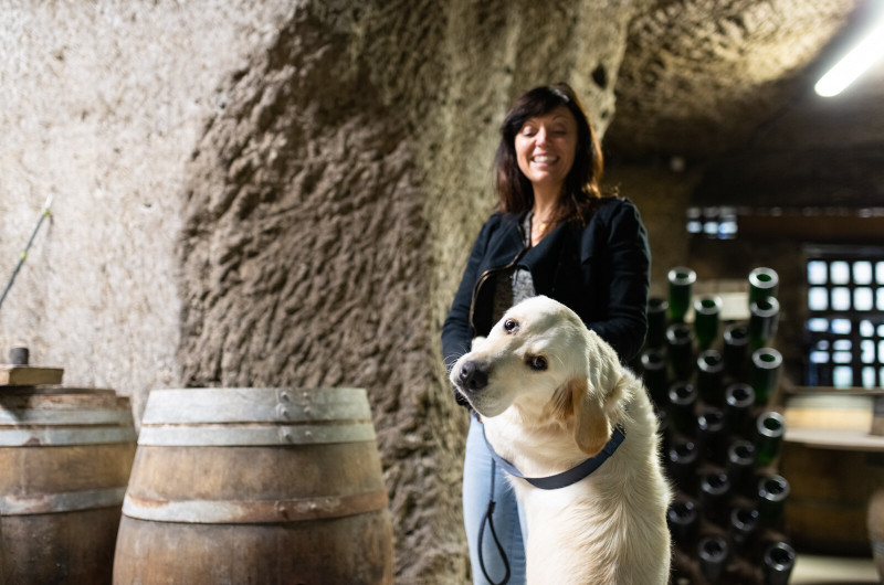 Domaine du Grand Moulin Seneau et Fils 