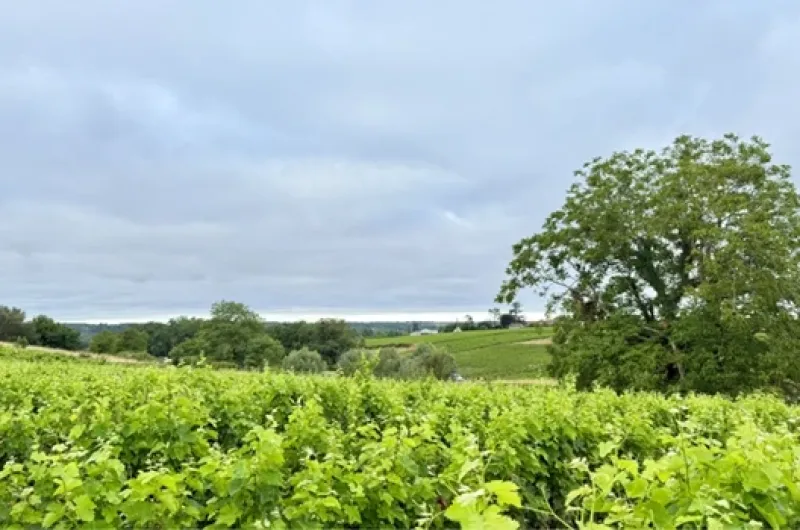 ®Domaine des Eclats
