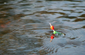Pêche dans le Nahon à Vicq-sur-Nahon