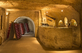 Domaine du grand moulin seneau et fils 