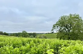 Domaine des éclats