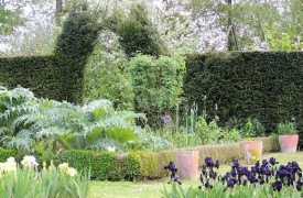 Découvrez les Iris au Domaine de Poulaines