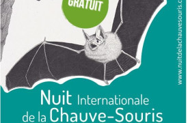 Le monde fascinant des chauves-souris