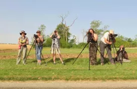 Sortie nature : Journée de la prospection Busards