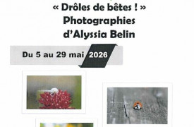 Exposition de photos