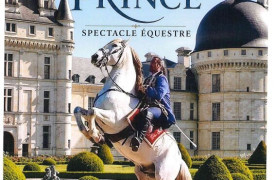 Spectacle équestre : l'ombre du Prince
