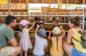 Découverte de la ferme caprine du Petit Bois d'Ô