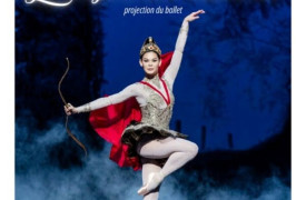 Soirée ballet à la Micro-folie