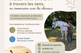 Atelier de relaxation à la ferme d'Alouette