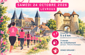  Marche solidaire Octobre Rose à Levroux