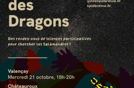La nuit des dragons