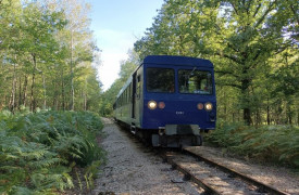 GR de Pays de Valençay - Boucle "Bois et bocage en Pays d'Écueillé"
