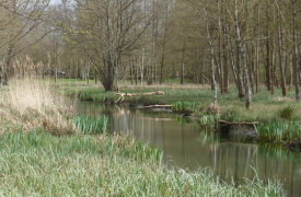 Les prairies du Château