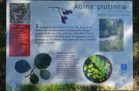 Zone humide la Prairie d'Entraigues