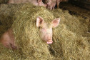 Ferme de la Prairie