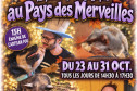 Ferme pédagogique "Faune, Flore et Utopies"