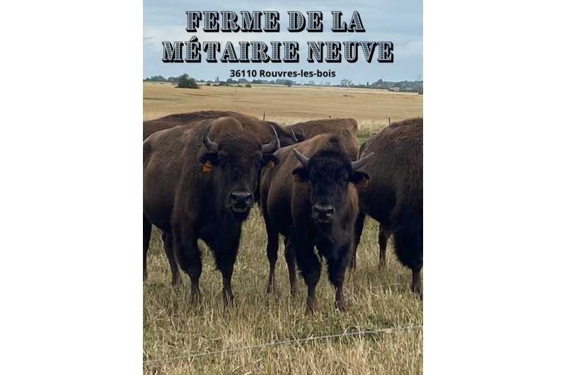 Ferme de la Métairie Neuve