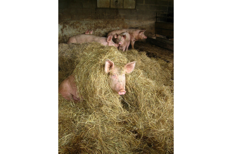 Ferme de la Prairie