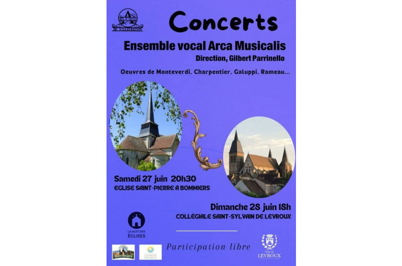Concert Ensemble vocal arca musicalis 