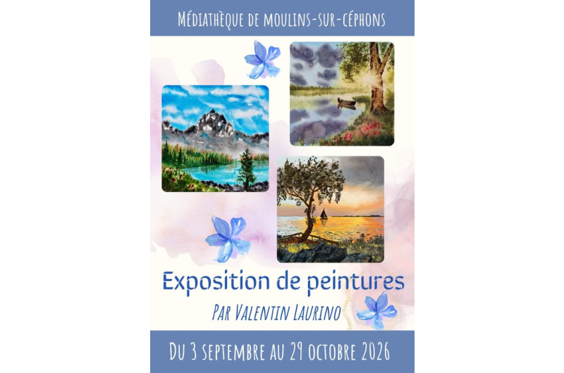  Médiathèque de Moulins sur Céphons 