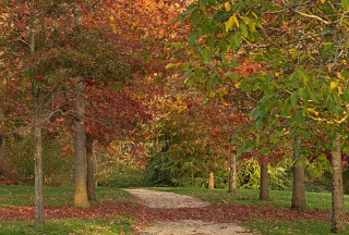 Domaine de Poulaines