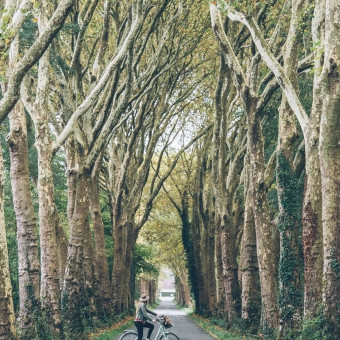 Laissez-vous porter par la Cyclo Bohème, un itinéraire au fil de paysages paisibles, villages de caractère et trésors du patrimoine 
À Châtillon-sur-Indre, chaque coup de pédale est une invitation à ralentir et profiter pleinement de l’instant