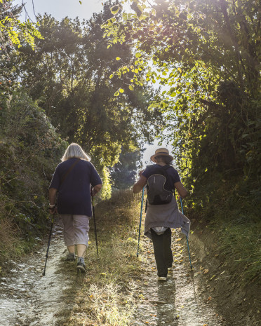 Randonnée pédestre